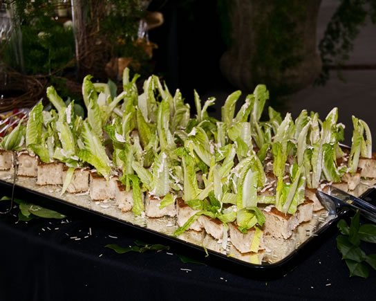 Photography by Stephen